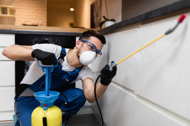 Best Pest Removal Services  in White Plains, NY