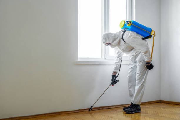 Trusted White Plains, NY Pest Control Experts