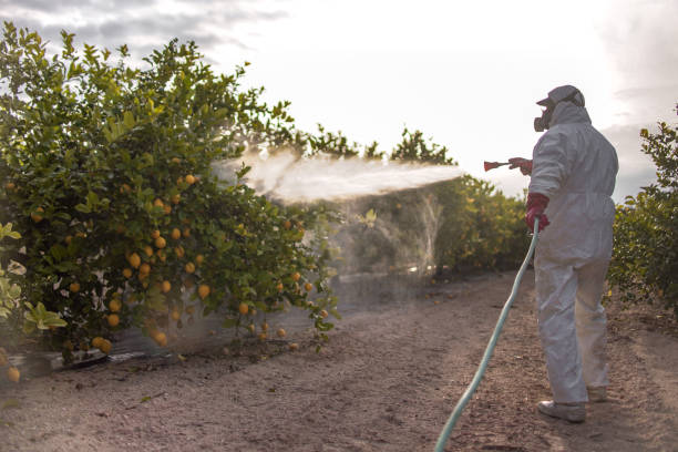 Best Commercial Pest Control Services  in White Plains, NY