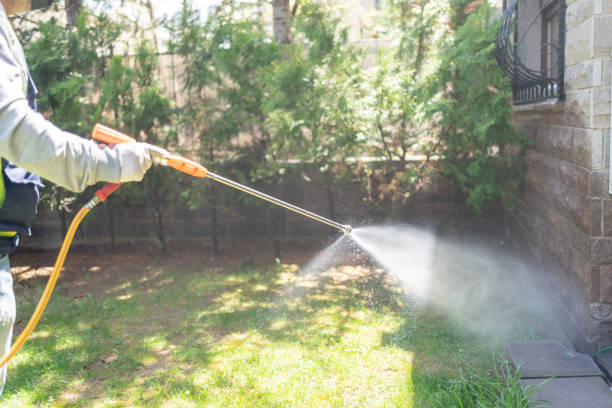 Best Pest Prevention Services  in White Plains, NY