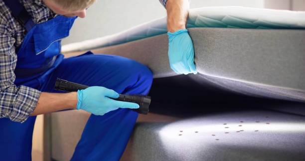 Best Wasp Removal Services  in White Plains, NY