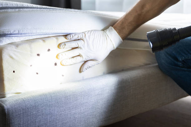 Best Pest Control Near Me  in White Plains, NY